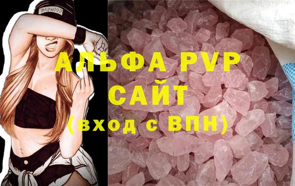 прущие грибы Нягань