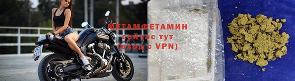 прущие грибы Нягань
