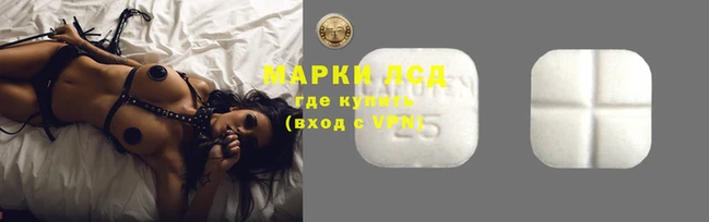 прущие грибы Нягань