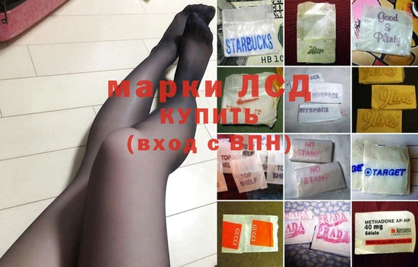 прущие грибы Нягань