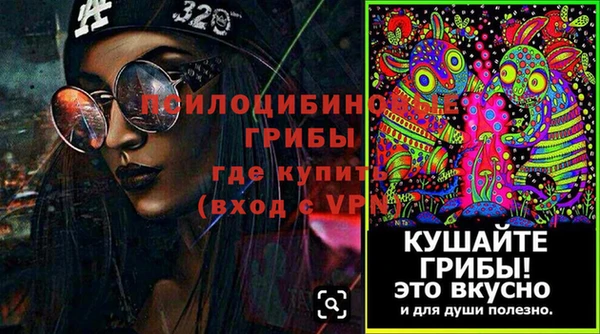 прущие грибы Нягань