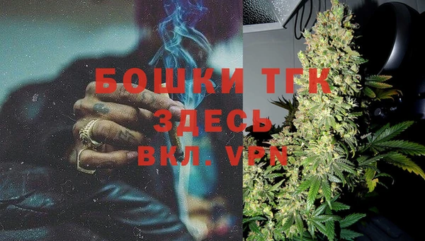 прущие грибы Нягань