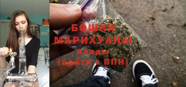 прущие грибы Нягань