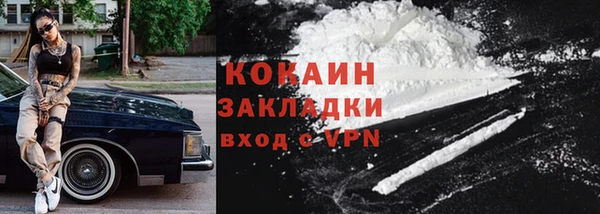 прущие грибы Нягань