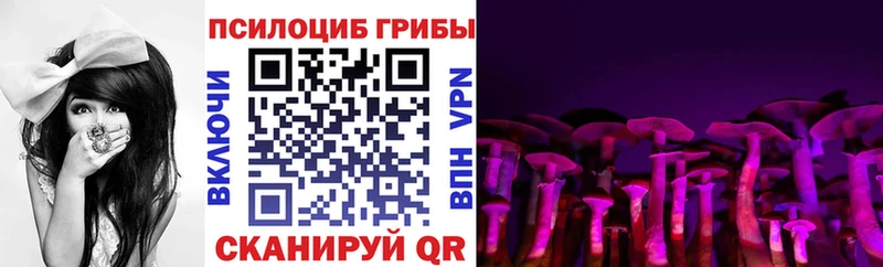 дарнет шоп  Шахты  ОМГ ОМГ ССЫЛКА  Галлюциногенные грибы MAGIC MUSHROOMS 