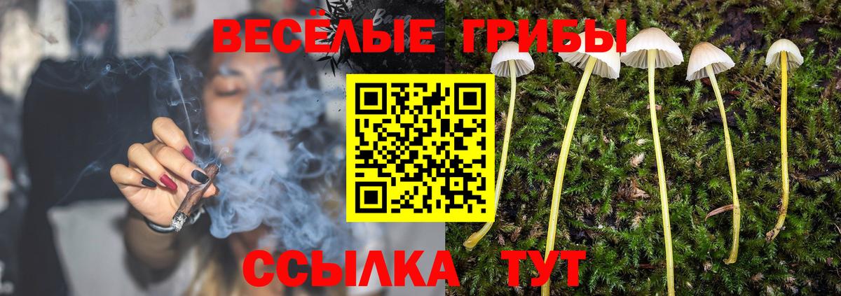 ГАШ  A-PVP СК кристаллы  Экстази  Cocaine  Вход с VPN  Каннабис  Шахты  Меф  