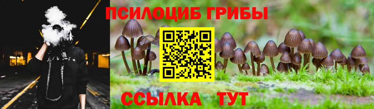 Галлюциногенные грибы Psilocybe  Вход с VPN  Шахты 